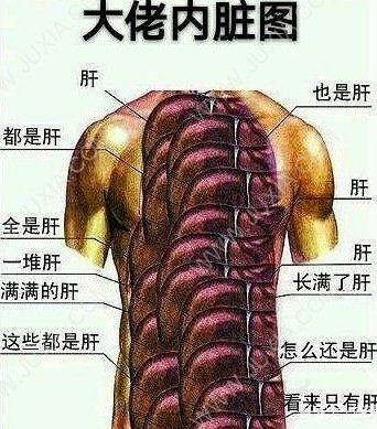 时间多很勇嘛，我这有些好康的肝硬化游戏