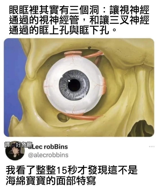 诡计多端的O囧图虽然有点问题但能跑起来就没问题