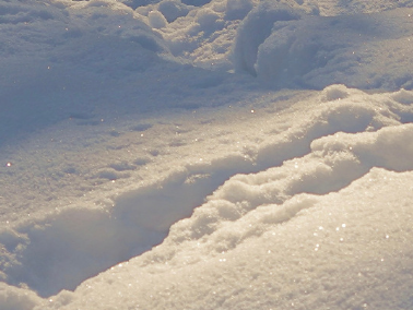 2023初雪文案发朋友圈很浪漫张万森下雪了