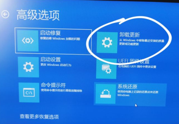 win11任务栏空白消失不显示什么原因win11任务栏卡死重启也没用