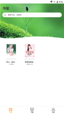 鲁晟小说下载最新图4