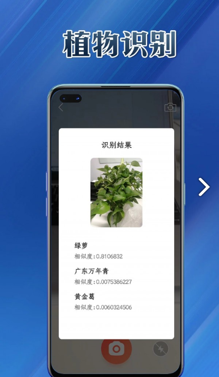 提效大师app官方版