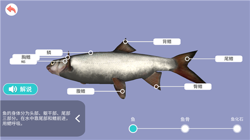 小学科学XR教室