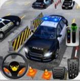 专家警察停车