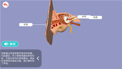 小学科学XR教室