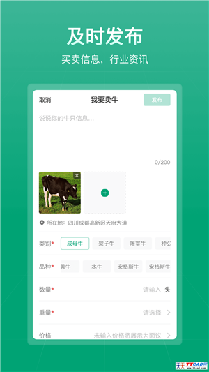 大肥牛app图3