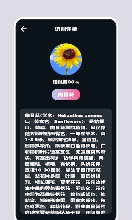 识别花图4