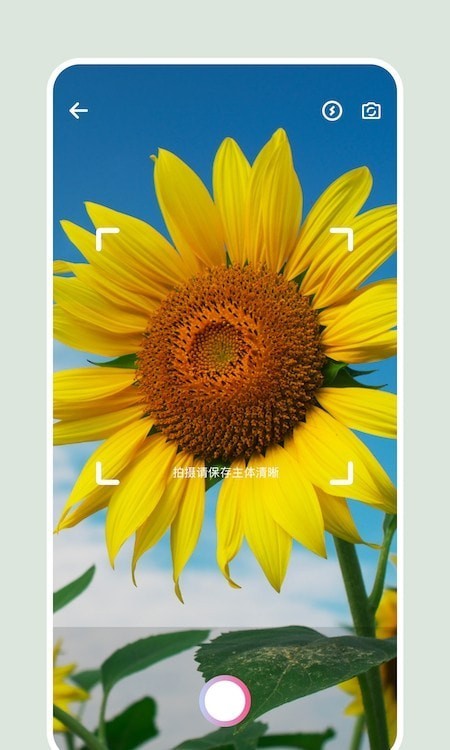 识别花图6