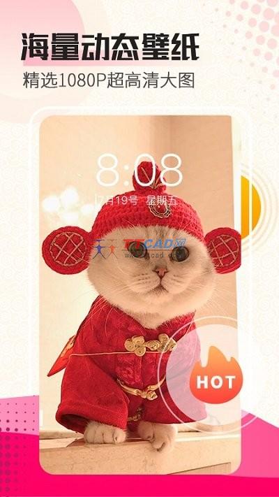 美好壁纸图3