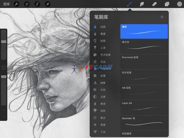 procreate版图2