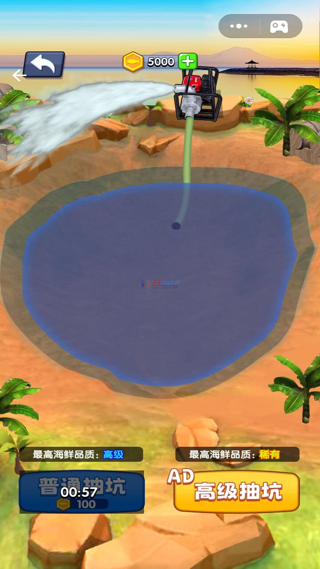 赶海日记游戏图3