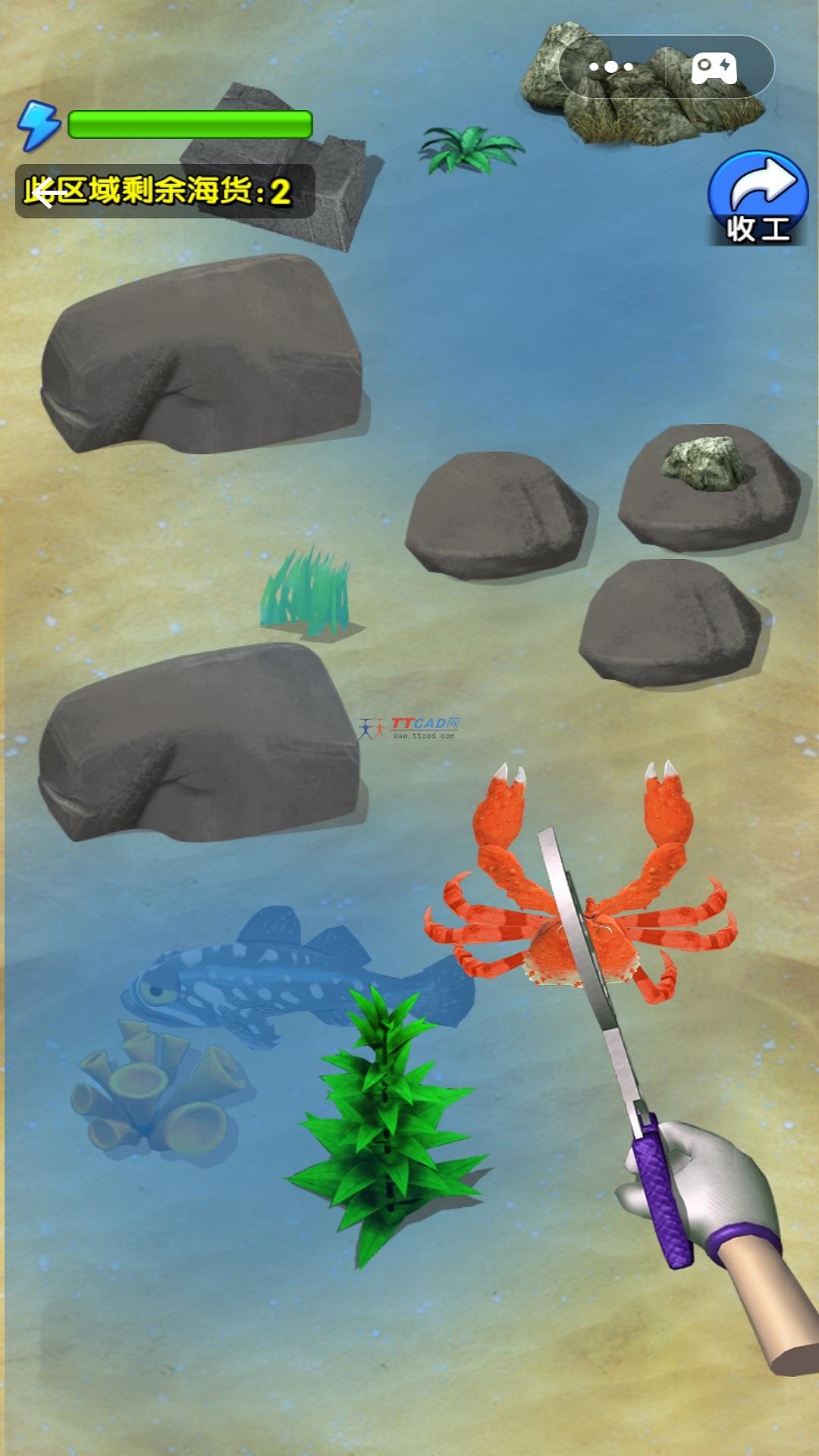 赶海日记游戏图4