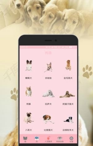 人猫狗翻译器图2