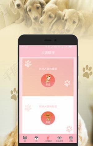 人猫狗翻译器图3