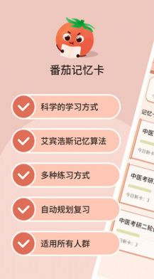 番茄记忆卡图1