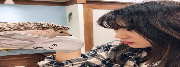 00后处对象软件