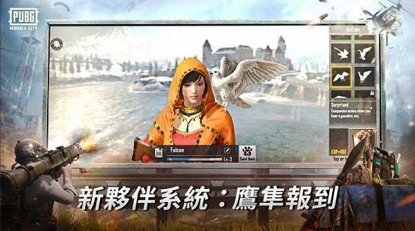 PUBG国际服官网版(PUBG MOBILE)图3