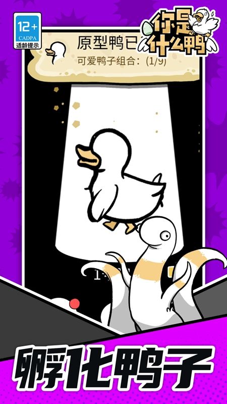 你是什么鸭图1
