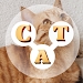 猫咪拼图大全Cat Word - Word Search Game