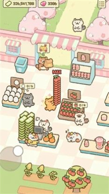 猫市图1