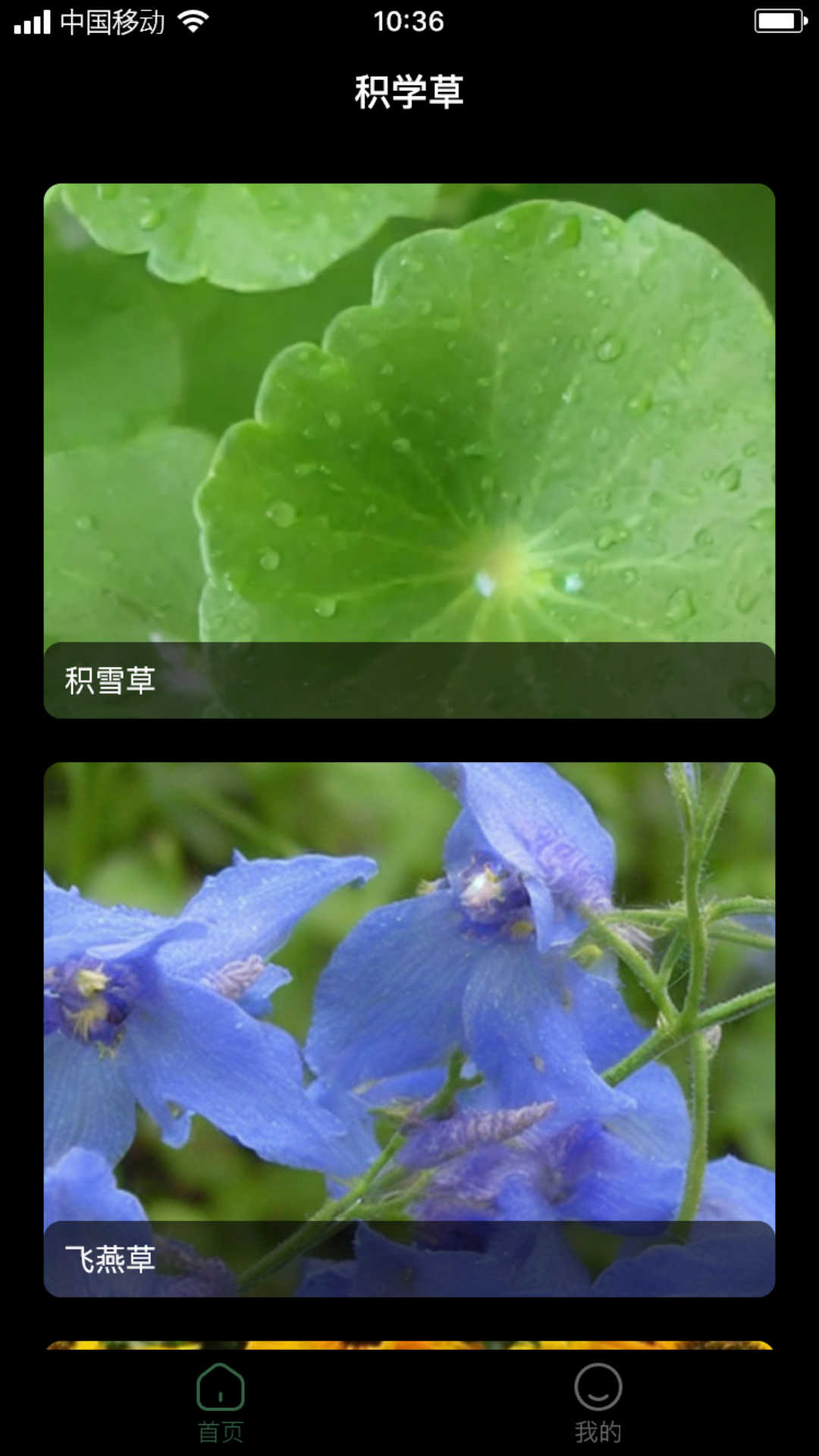 积学草图2