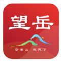 望岳图标