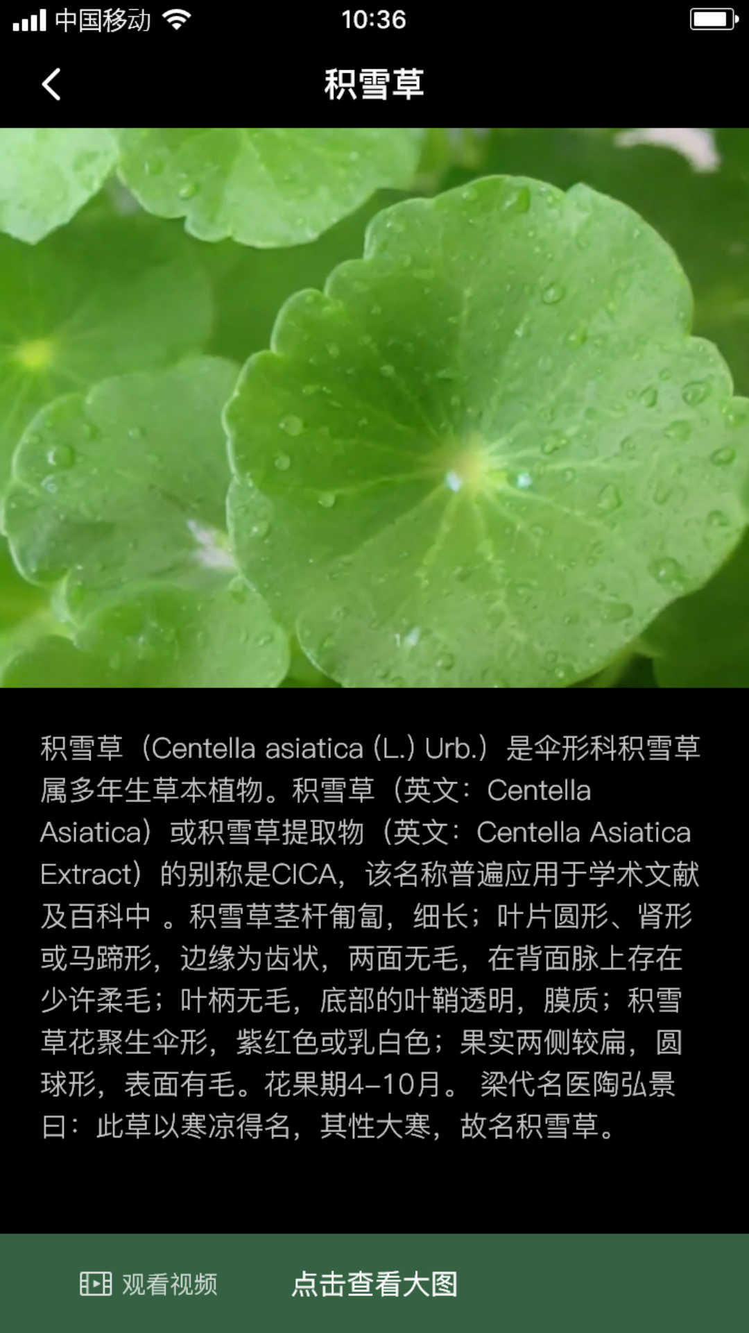 积学草图3