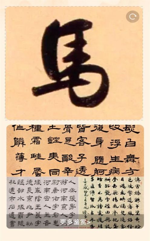 风雅一刷图2