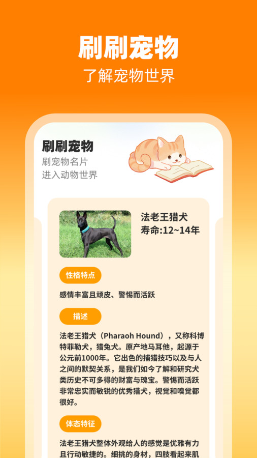 刷刷有喜图2