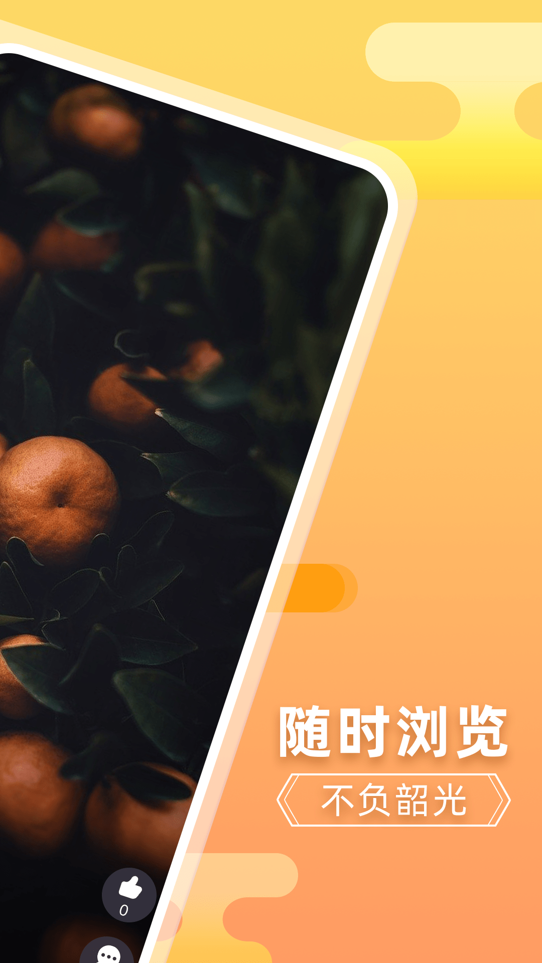 乐果果图3