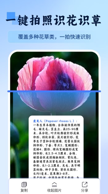 万物识图快拍易识别APP图2