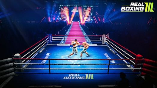 RealBoxing图2