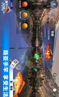 垂钓大师游戏图3