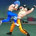 动漫格斗游戏Anime Fighting Game