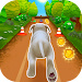 宠物赛跑Pet Run