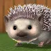 刺猬模拟器hedgehog