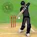 砸板球Smashing Cricket