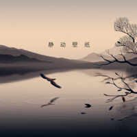 静动壁纸app