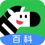 斑马百科最新版