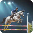 Horse Racing安装器