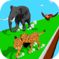Animal Transform游戏
