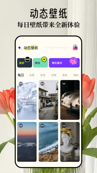 wallpaper主题壁纸app