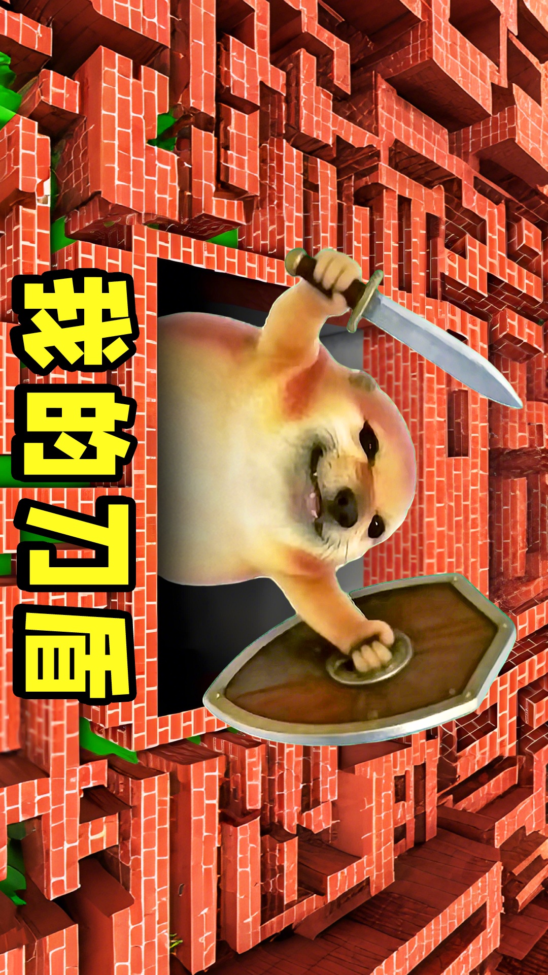 我的刀盾入侵游戏图3
