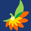 顾邻家政app图标