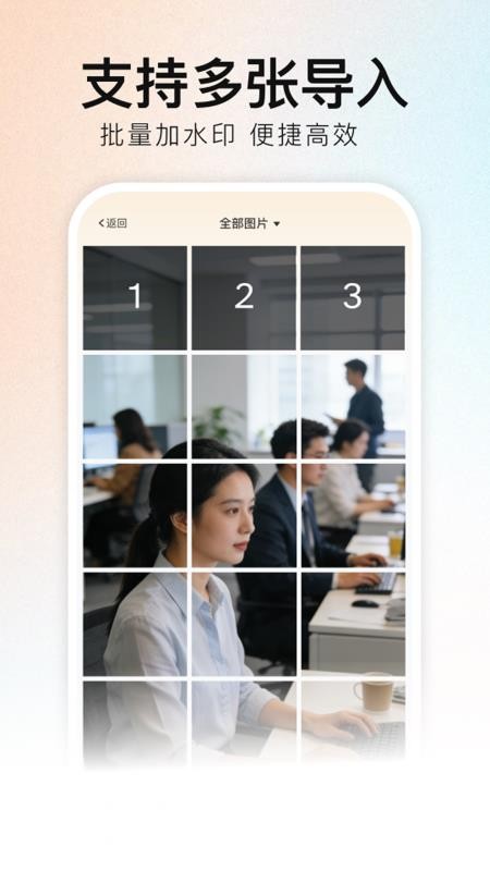 DM去水印软件图2