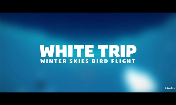 白翼之旅游戏