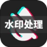 DM去水印软件图标