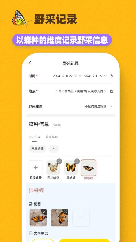 寻蝶记app