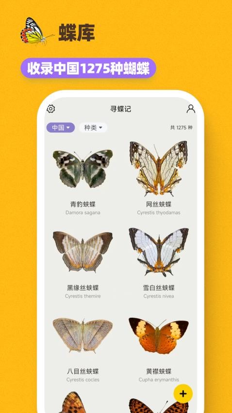 寻蝶记app图2