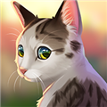 Cat Rescue Story游戏图标